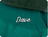Logo sample