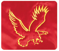 Logo sample